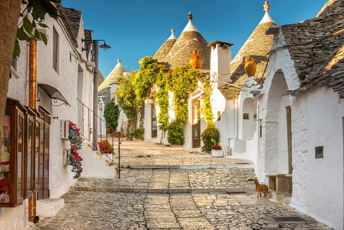 Premium Puglia