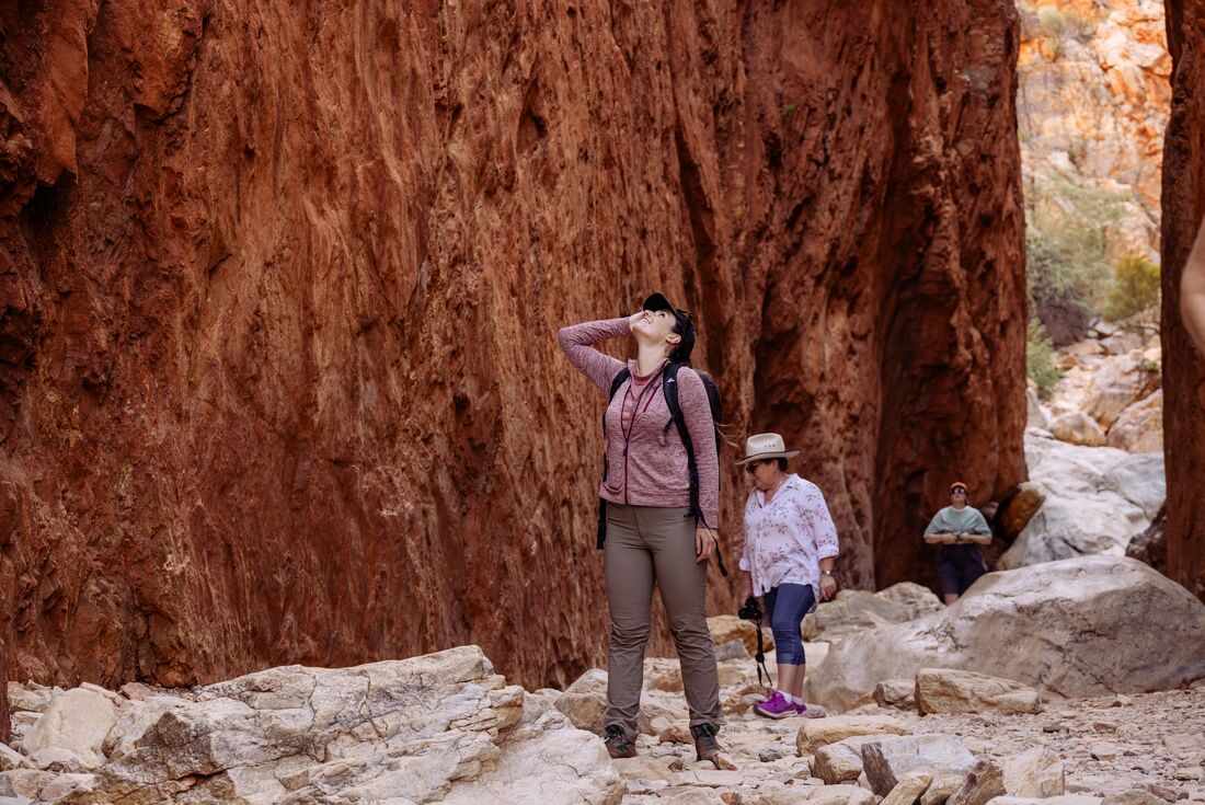 Trek the Larapinta Trail