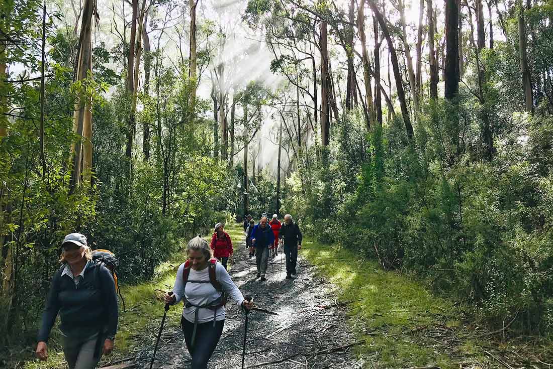 Hike the Great Ocean Walk