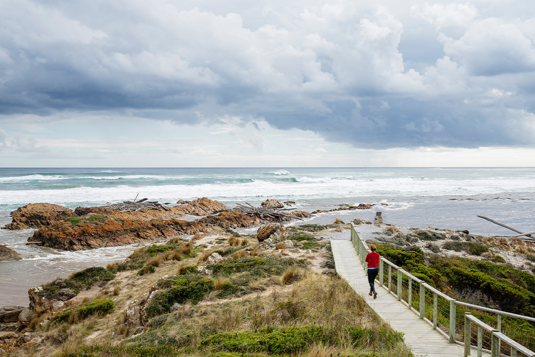 Best of Tasmania's Tarkine & Cradle Mountain
