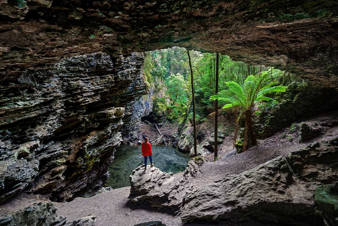 Best of Tasmania's Tarkine & Cradle Mountain