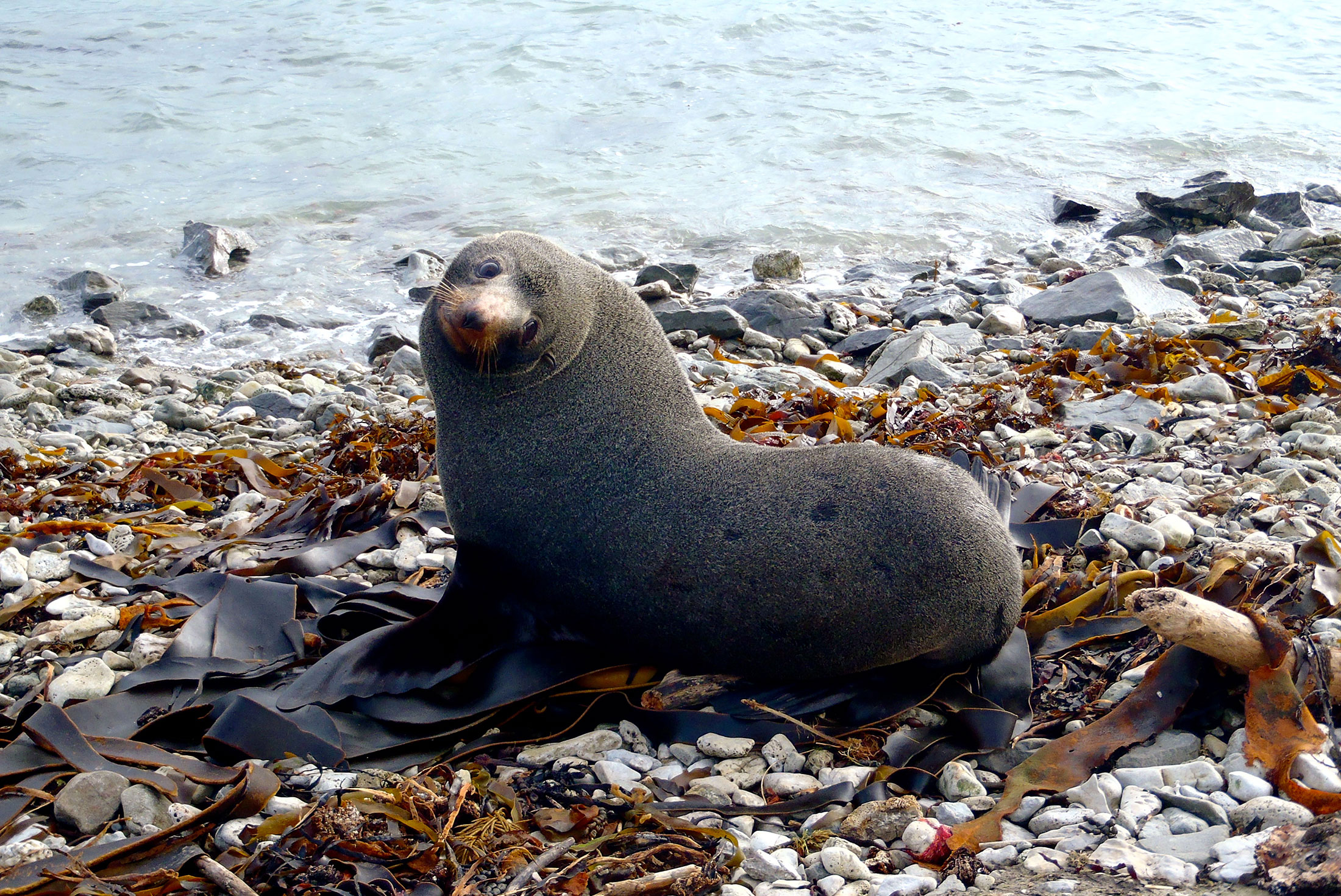 New Zealand West Coast Adventure