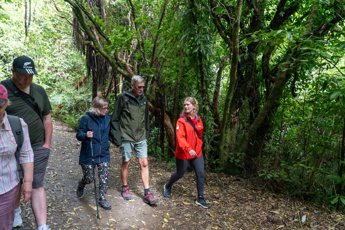New Zealand Northern Trail (Northbound)