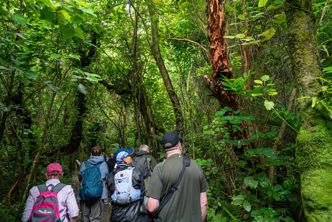 New Zealand Uncovered (Northbound)