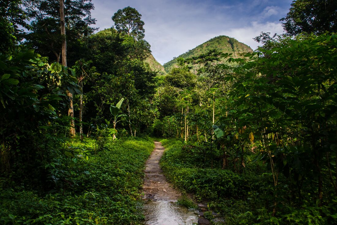 Benin, Togo & Ghana Adventure