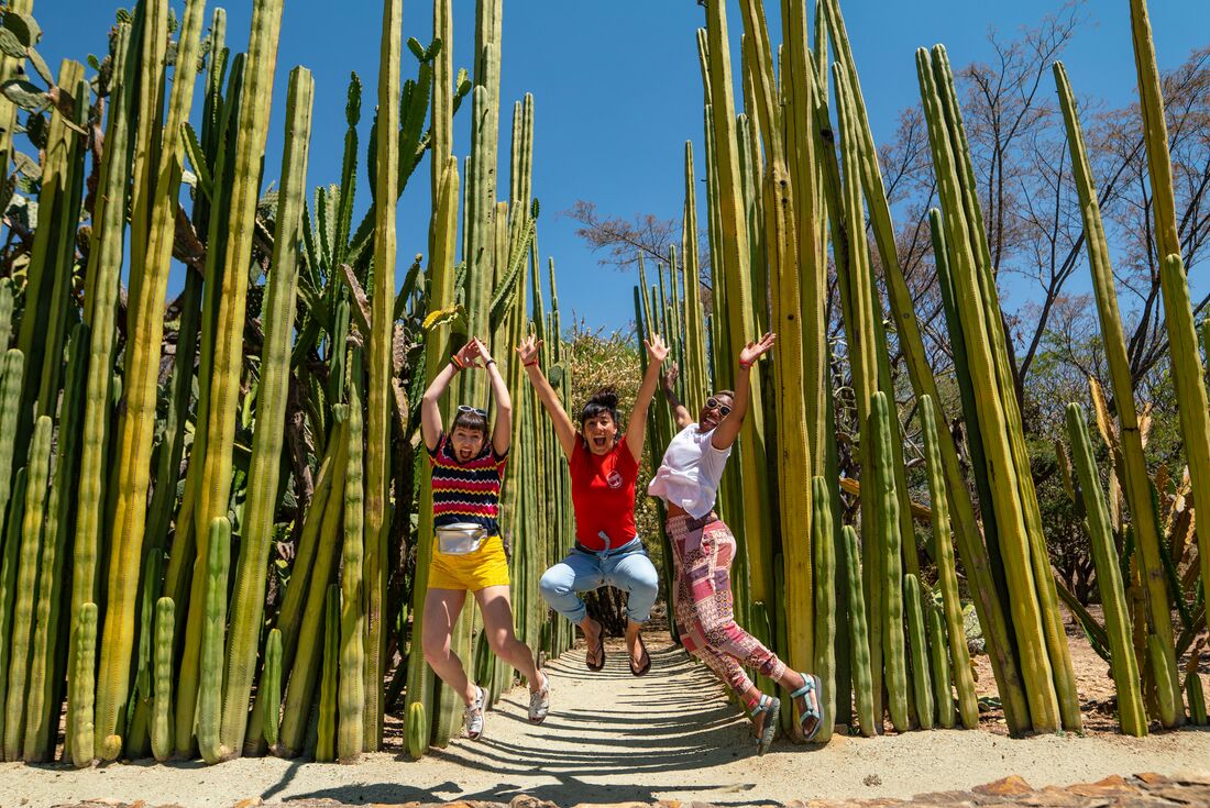 Best of Mexico & Costa Rica