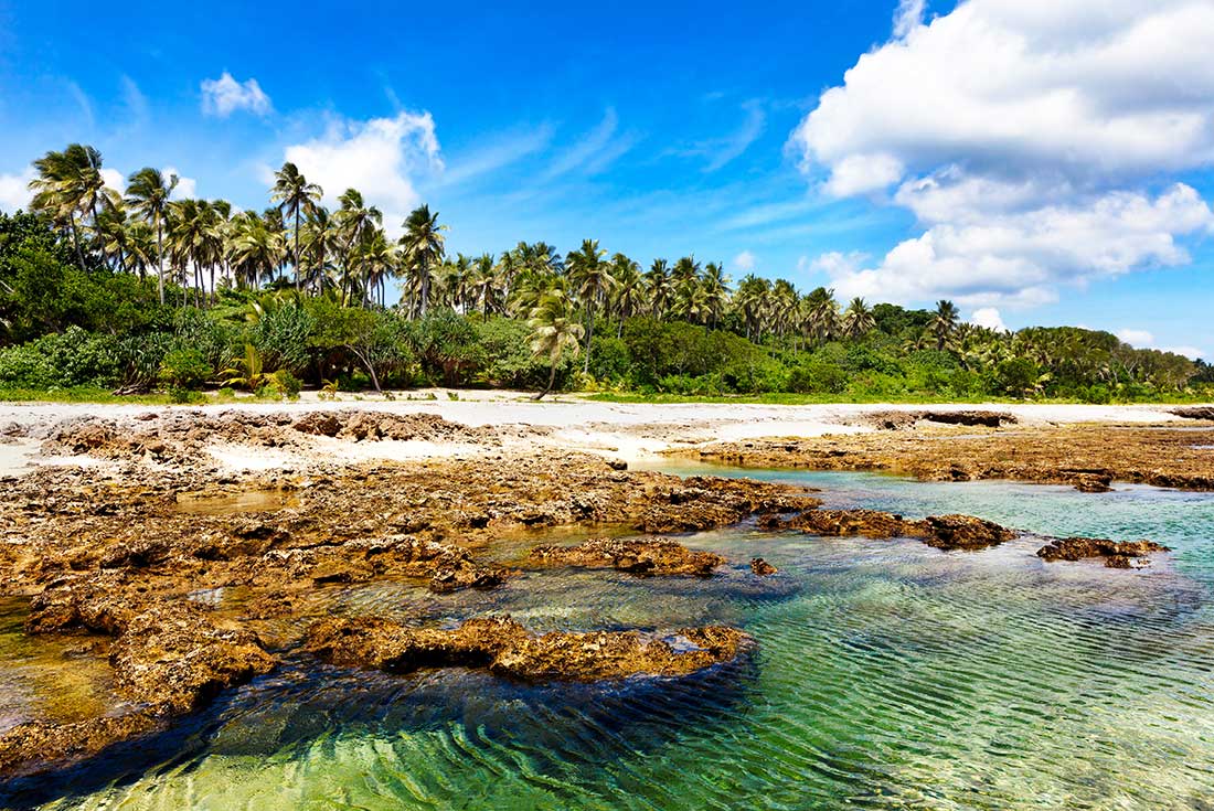 Vanuatu Expedition