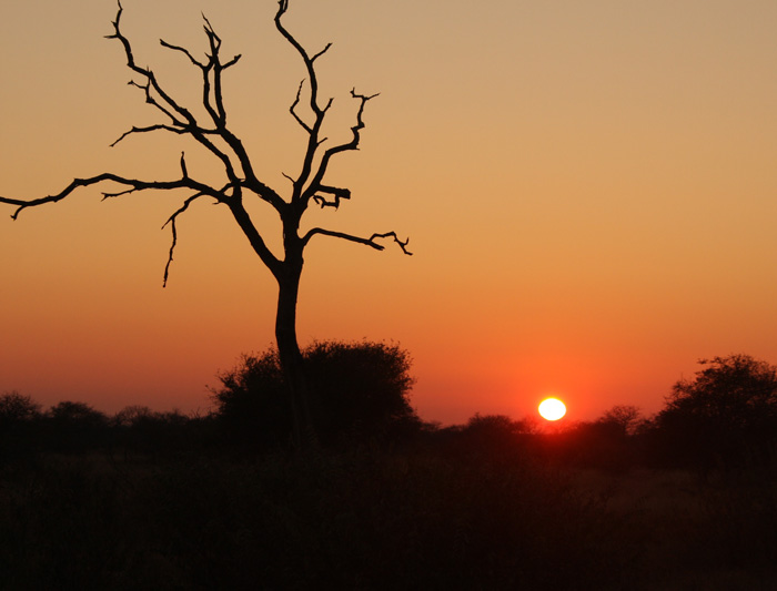Premium Southern Africa in Depth