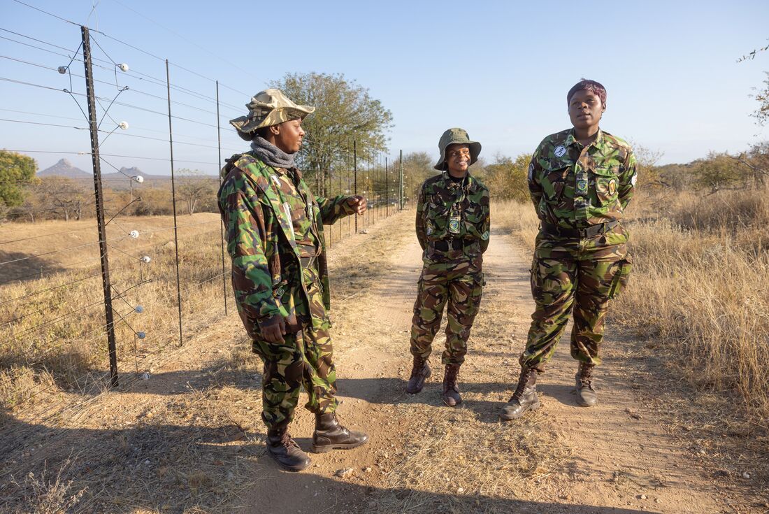 Kruger, Coast & Cape