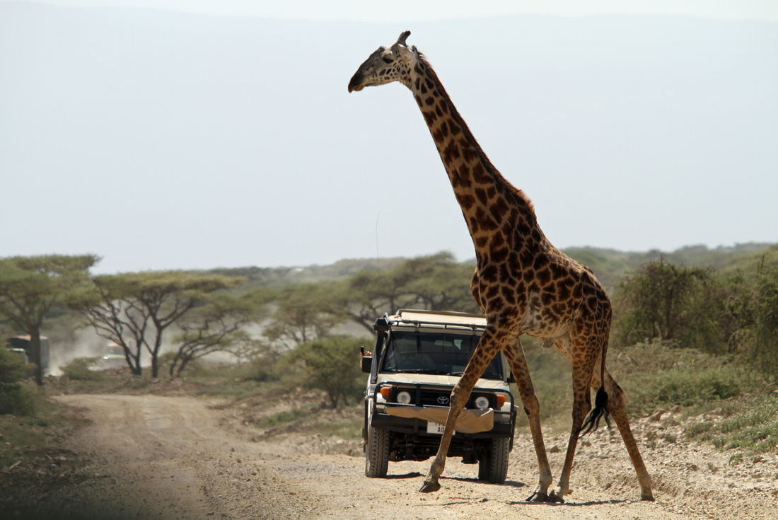 Zanzibar to Nairobi