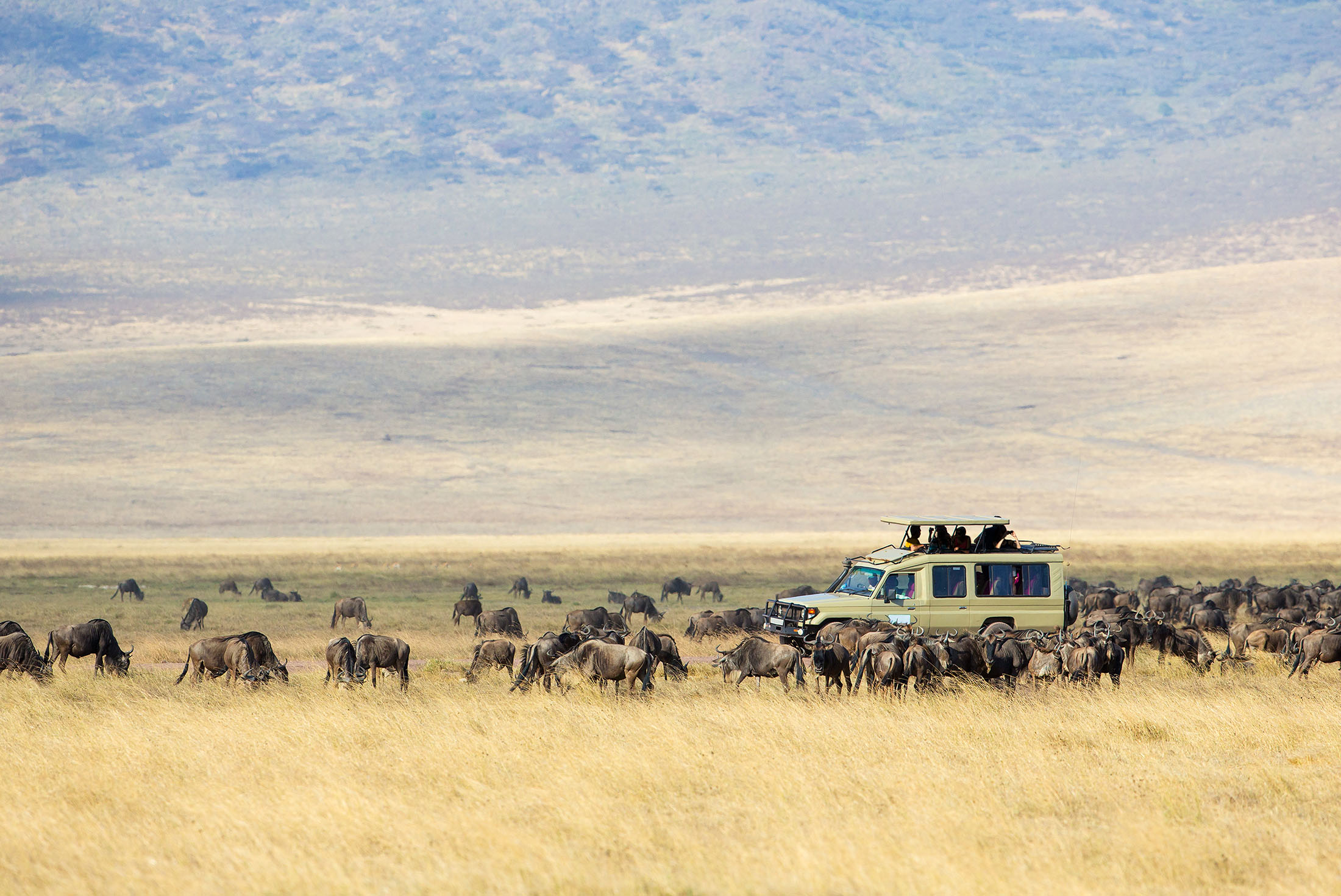 Kenya and Tanzania Family Safari