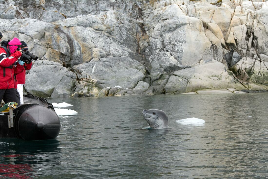 Antarctic Peninsula: An Explorer's Expedition (Ocean Victory)