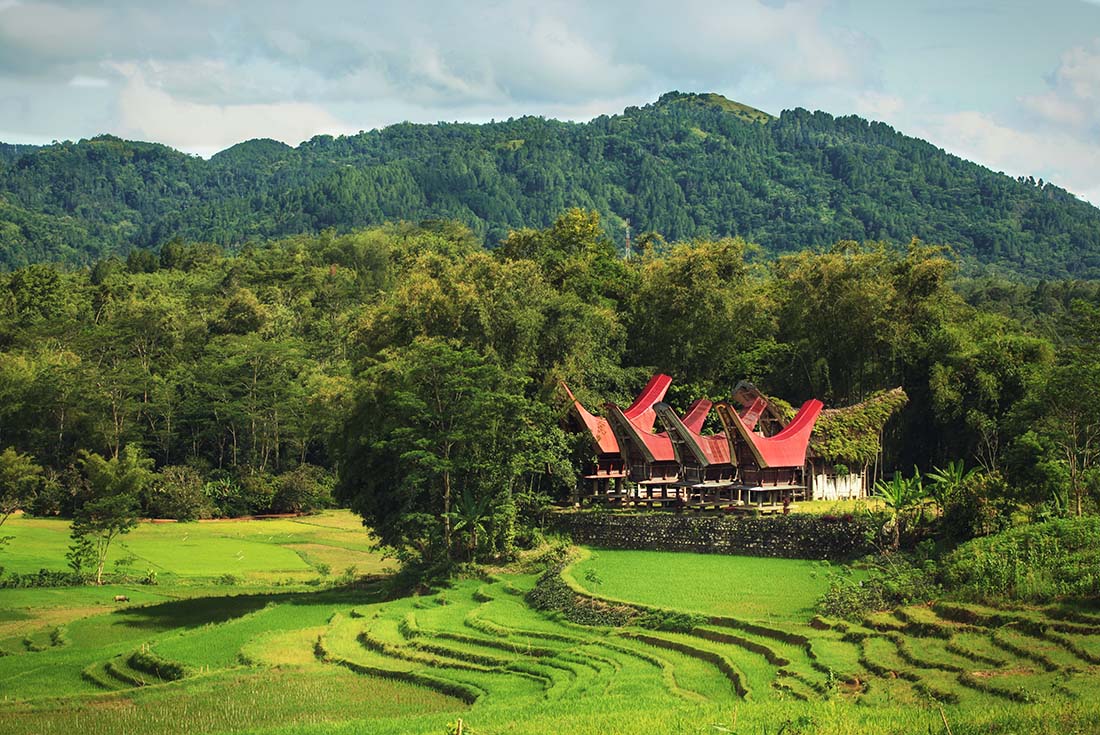Indonesia Expedition: Sulawesi & Toraja Tribes