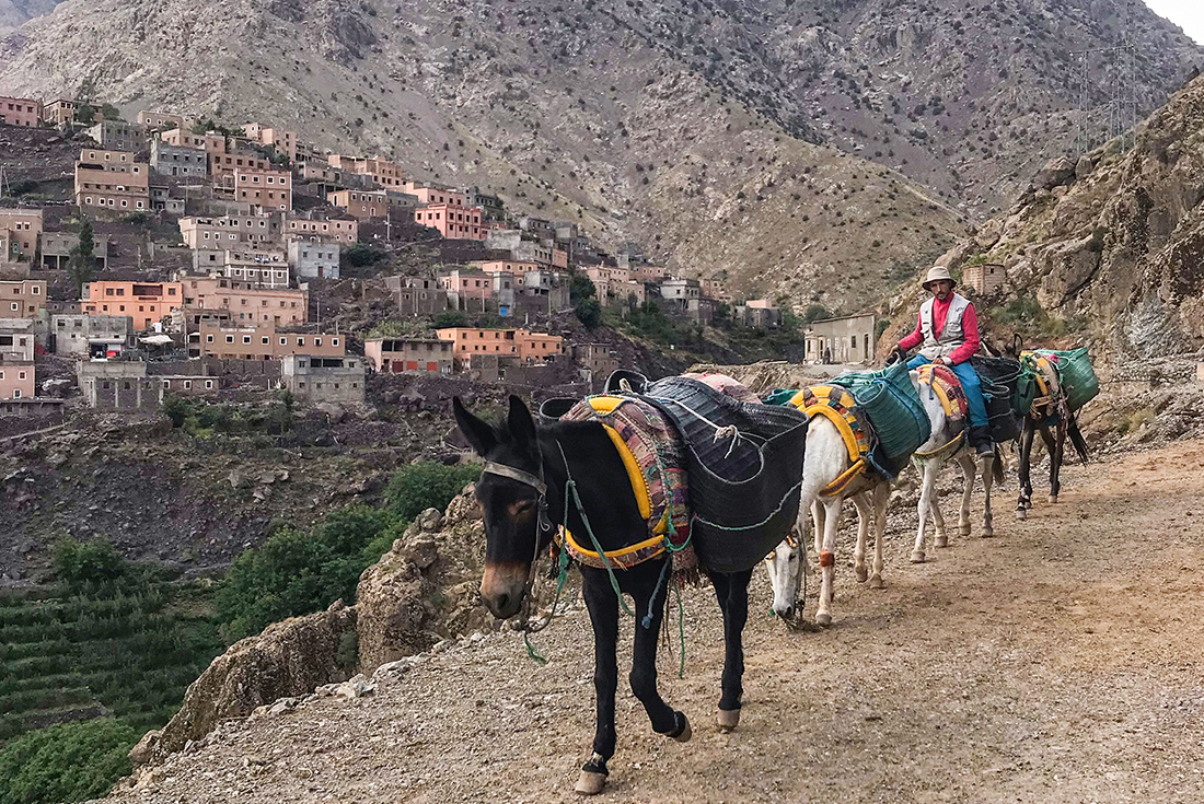 Mount Toubkal Trek