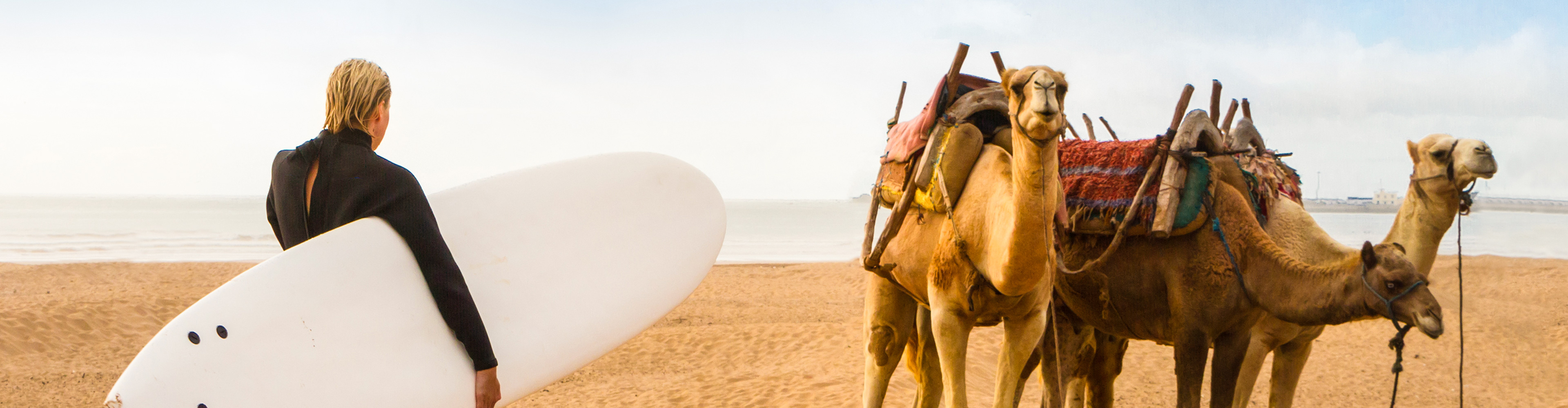 Five Days in Morocco trip photo