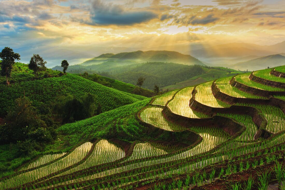 Thailand & Laos Adventure
