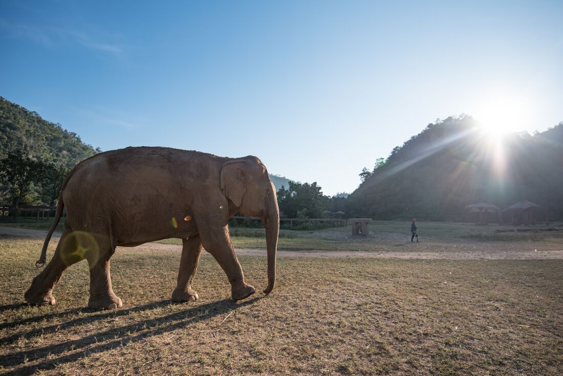 Thailand & Laos Adventure