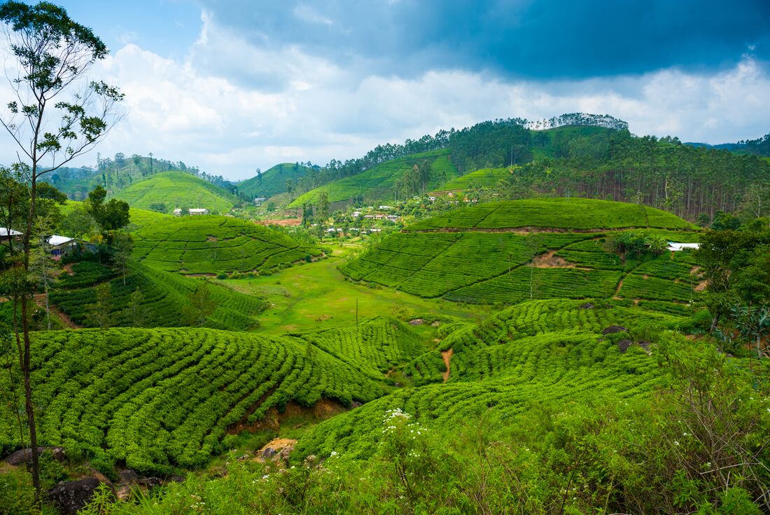 Sri Lanka: Hike, Bike & Kayak