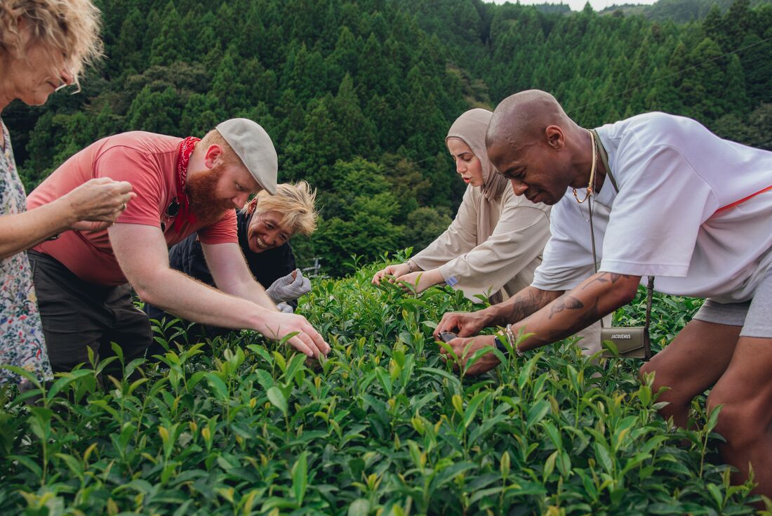 Japan Real Food Adventure