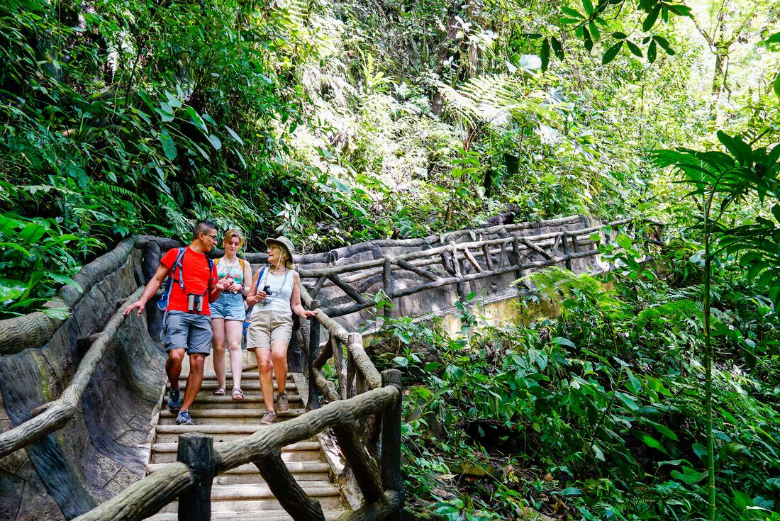 Best of Costa Rica Family Holiday