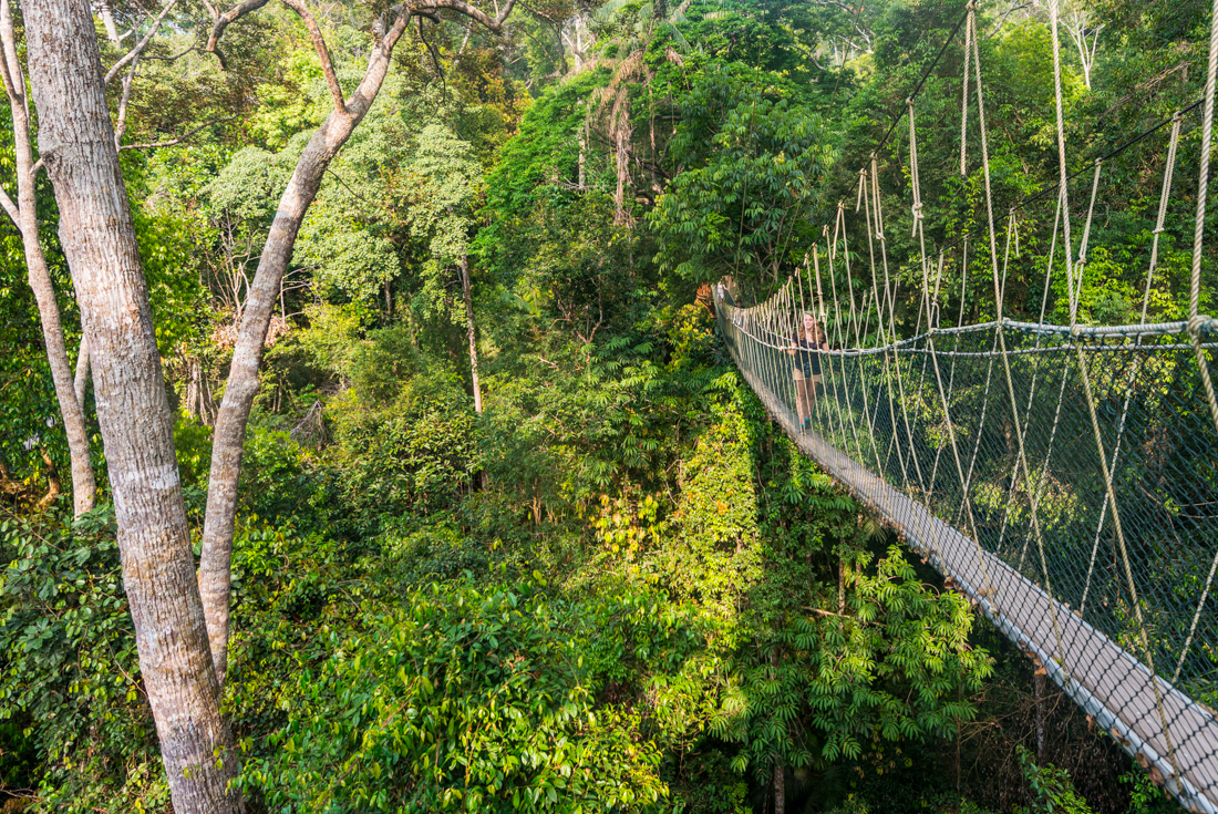 Malaysia's Jungle Railway Adventure