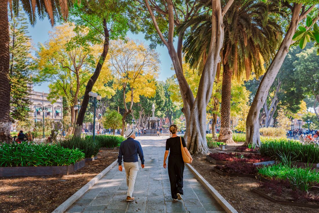 Mexico City to Oaxaca