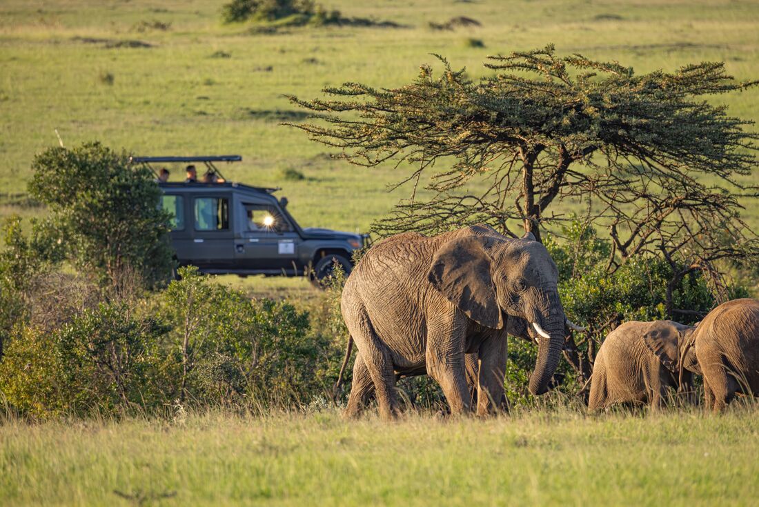Kenya Family Safari