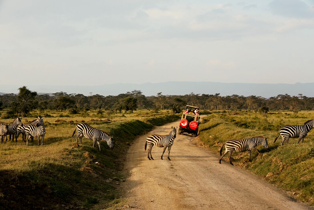 Kenya Family Safari