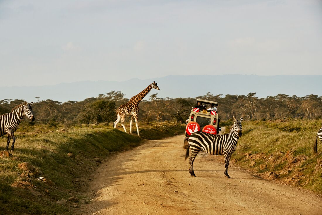 Kenya Wildlife Safari