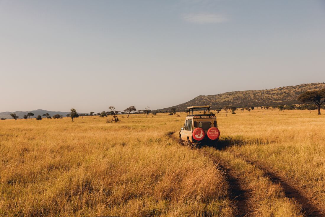 Serengeti Trail