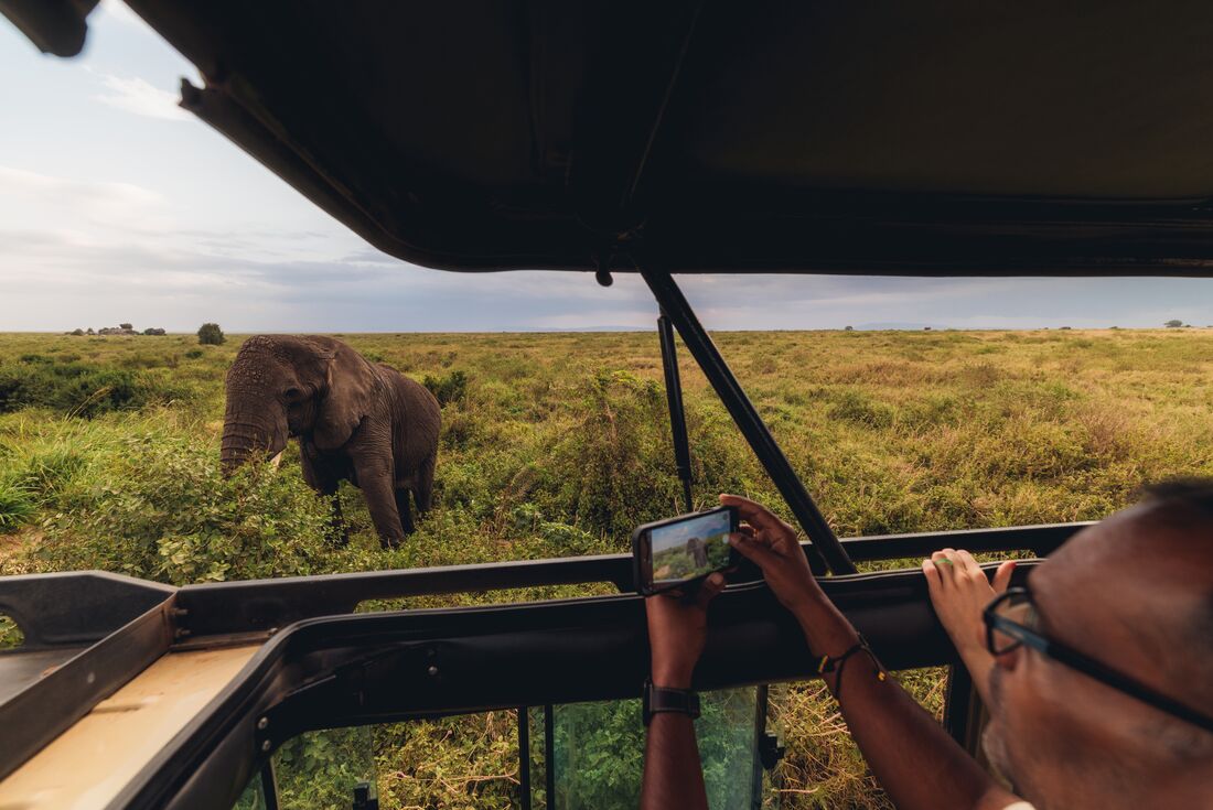 Serengeti Trail