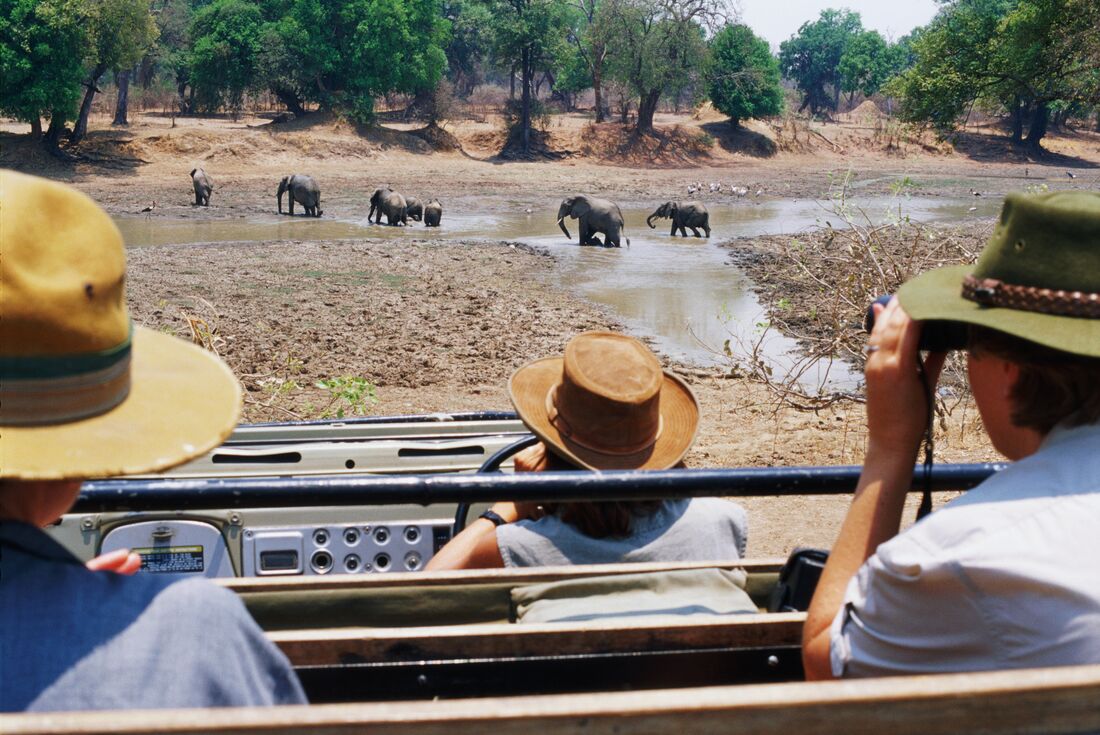 Vic Falls to Stone Town