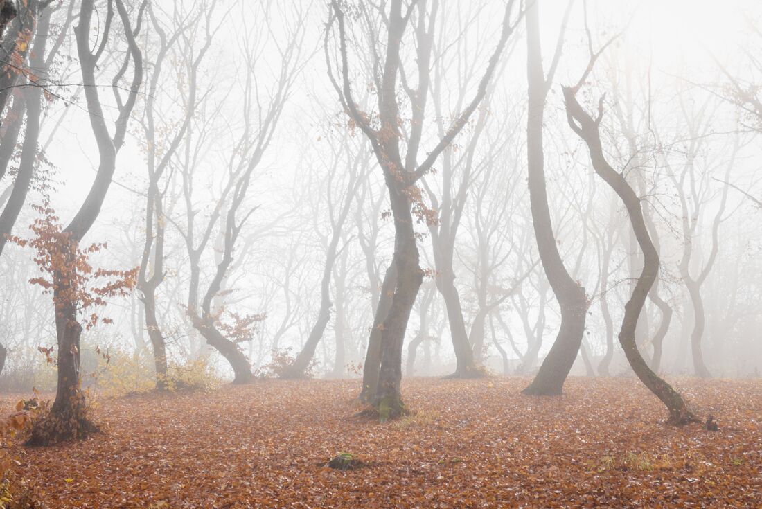 Halloween in Transylvania (Northbound)