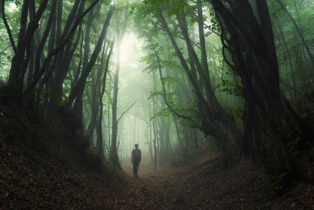 Hiking in Romania: Via Transilvanica Trail