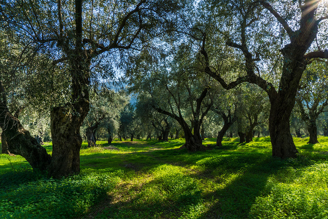 Mainland Greece Discovery