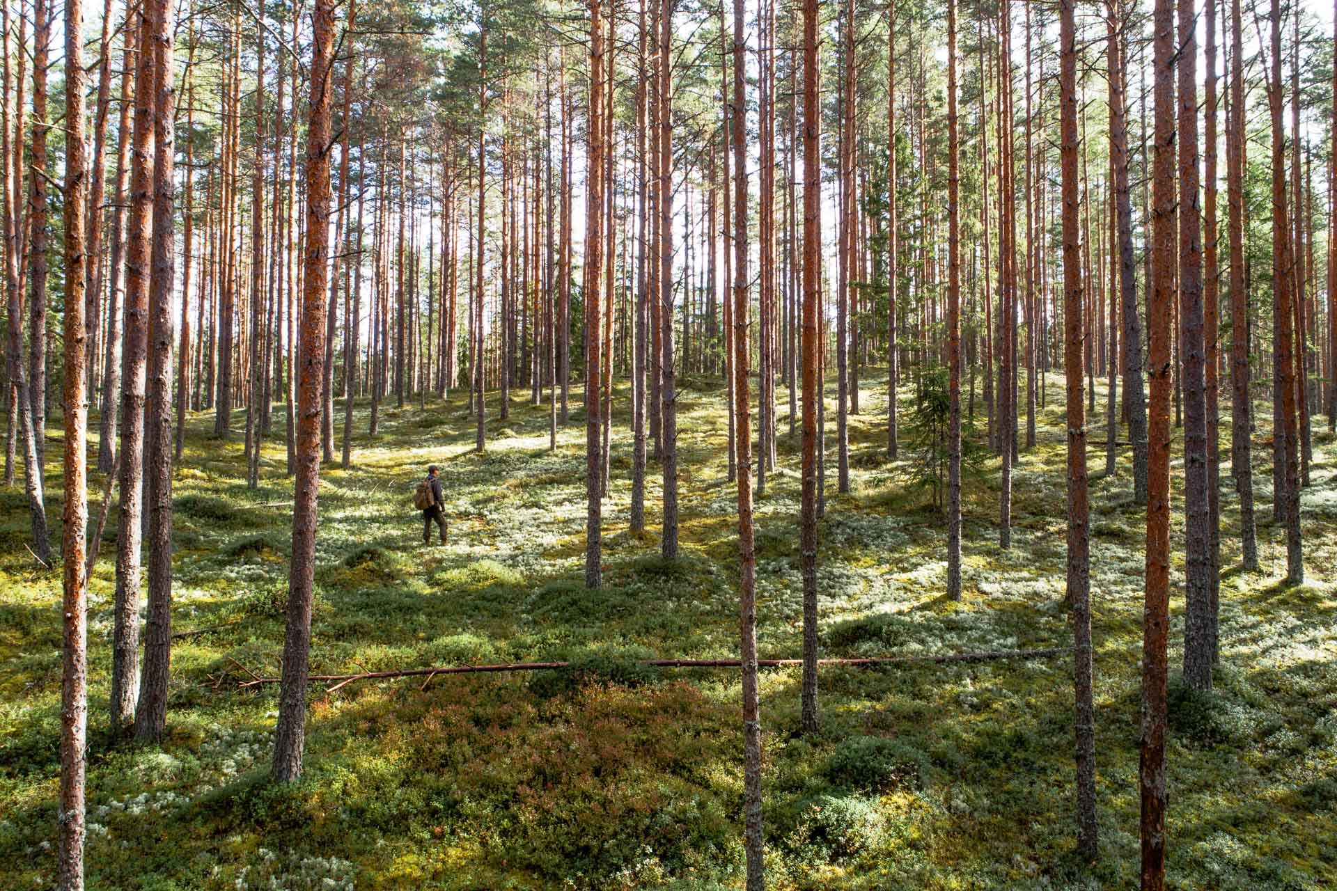 Classic Baltics
