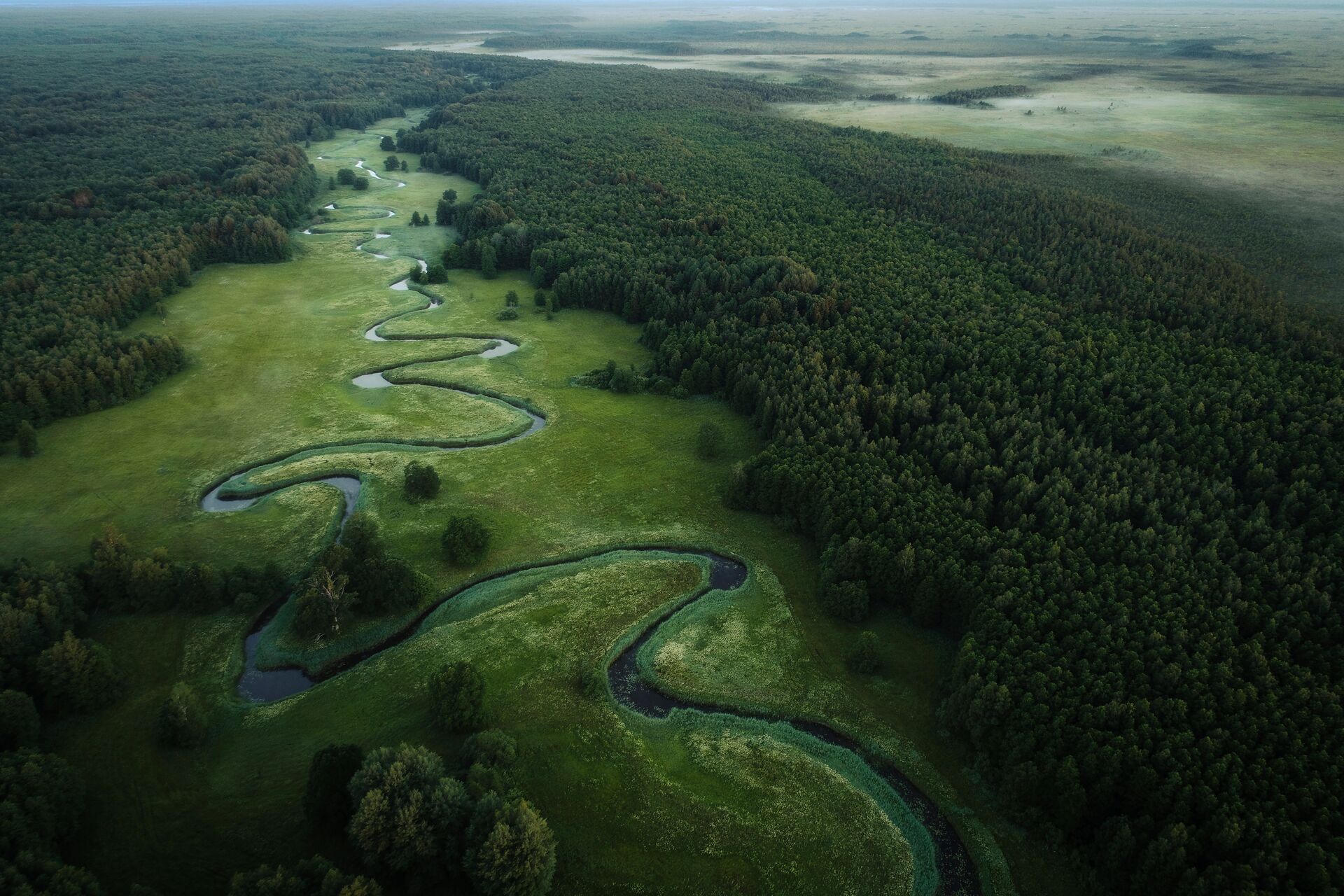 Classic Baltics