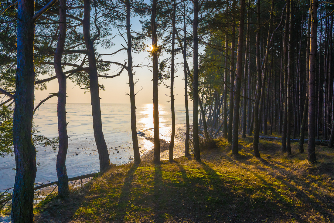 Baltic Experience