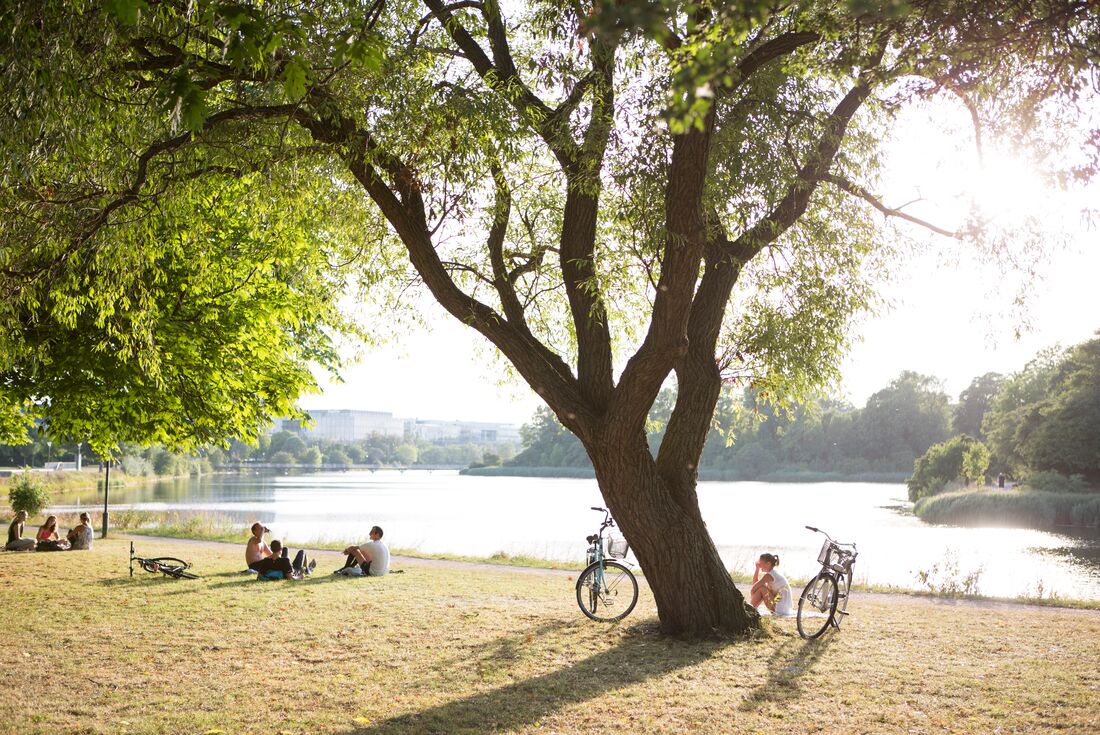 18 to 35s Essential Scandinavia
