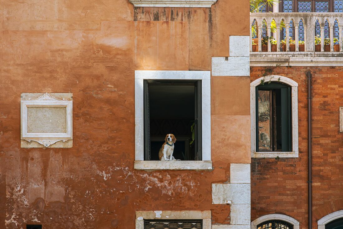 Best of Italy