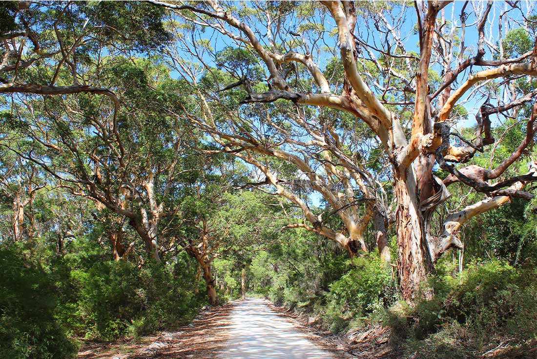 Best of Perth, Margaret River & Rottnest Island