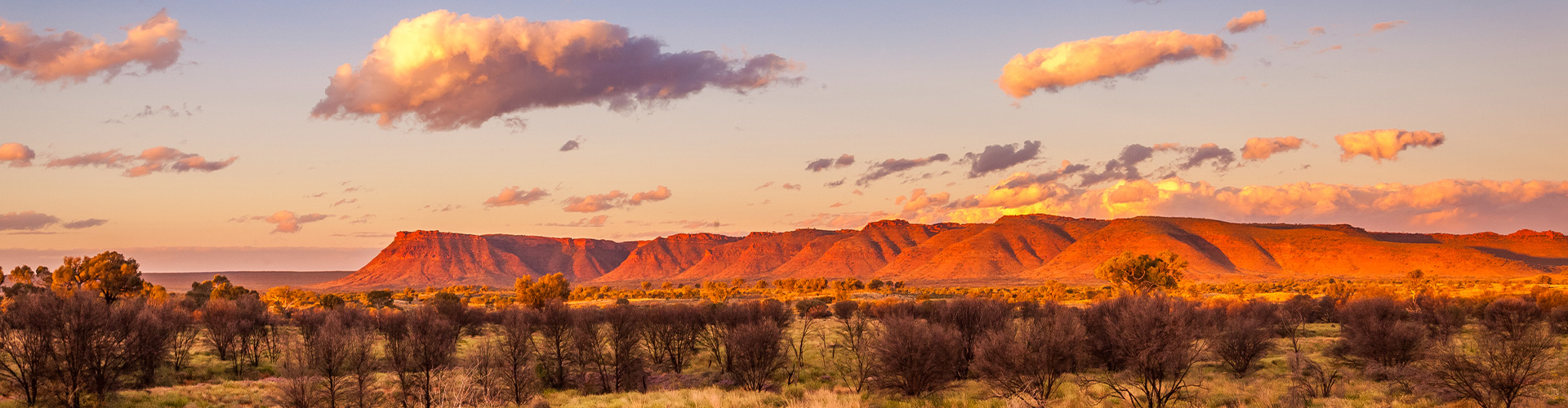 Uluru & Kings Canyon Adventure trip photo
