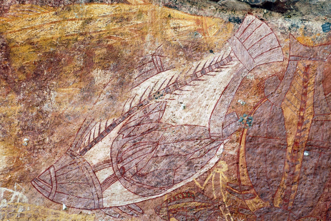 Top End & Kakadu Adventure