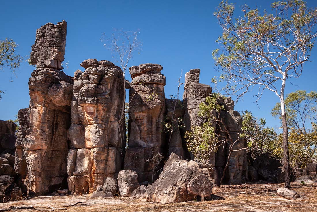 Top End & Kakadu Adventure