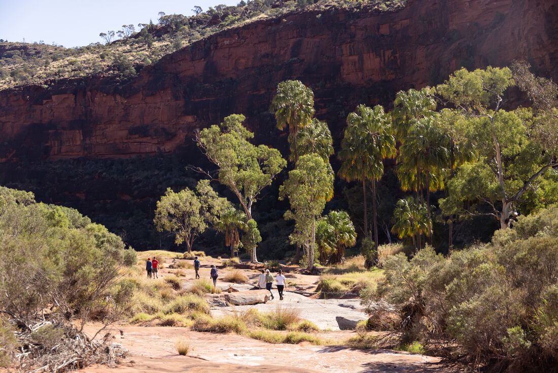 Red Centre & Uluru Explorer