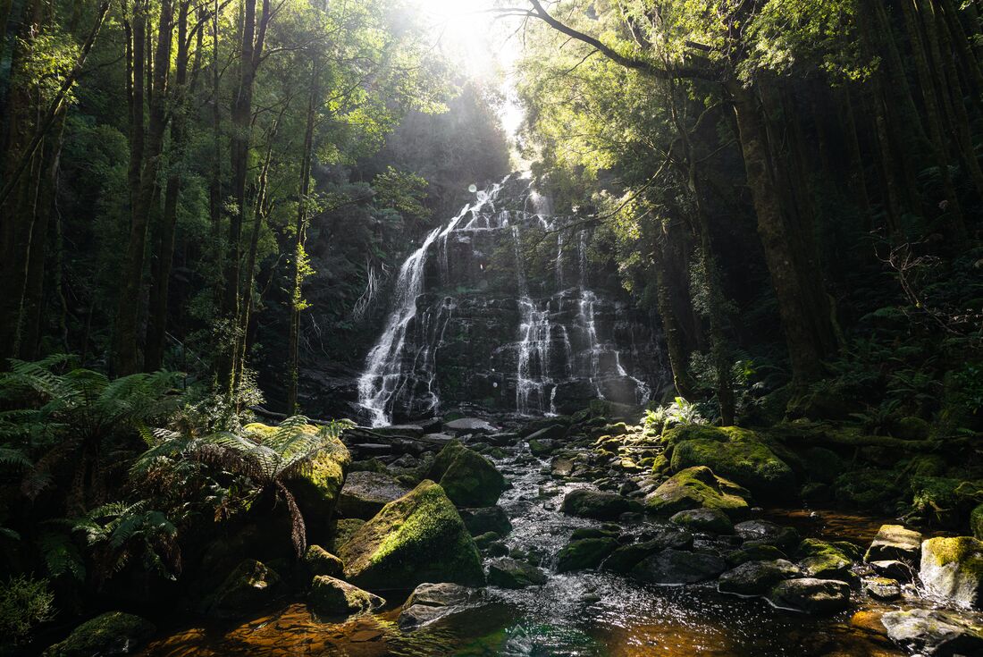 Tasmania Adventure