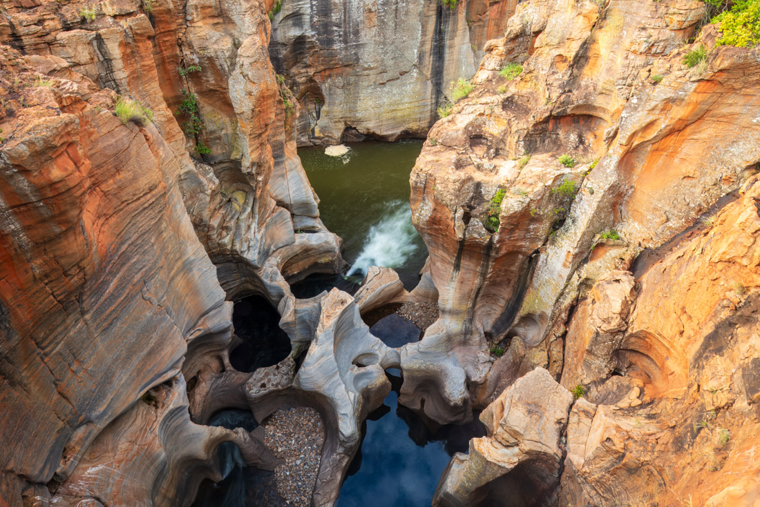 Southern Africa Safari