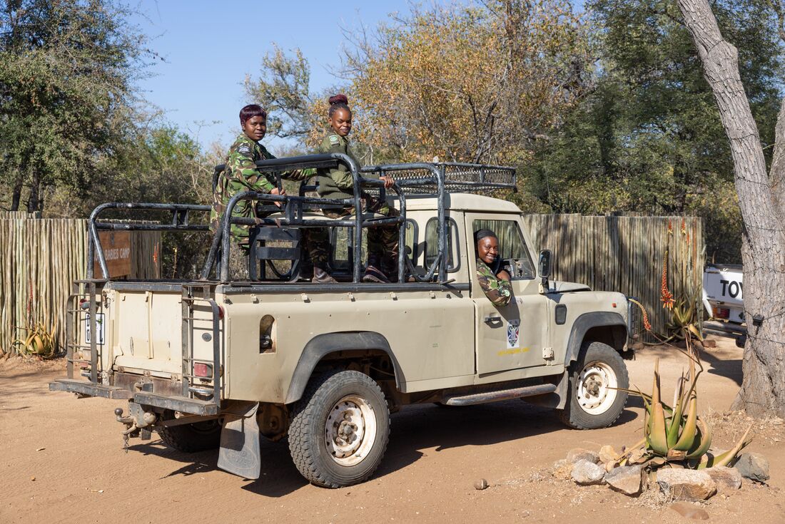 Southern Africa Safari