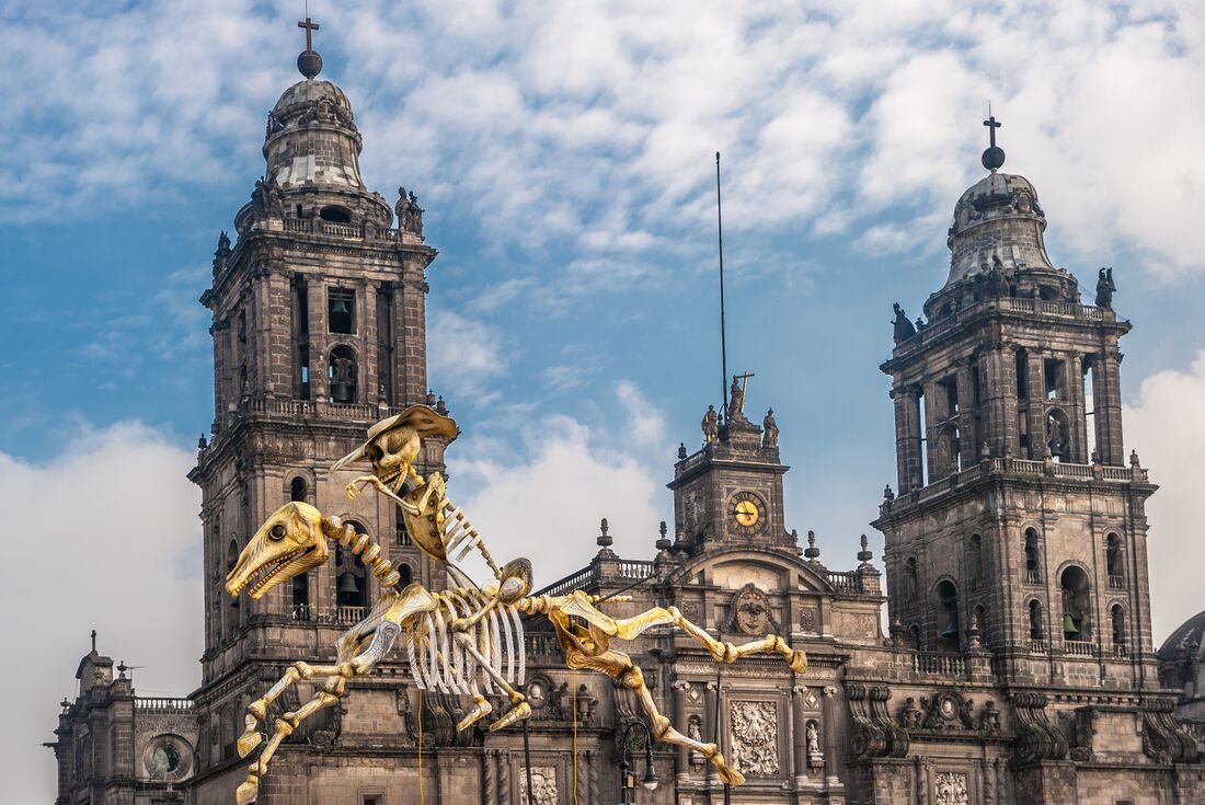 Mexico City: Day of the Dead Comfort