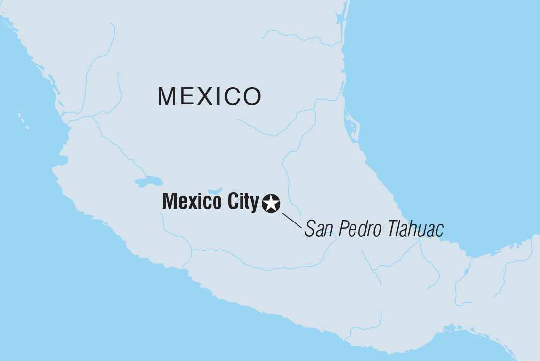 Mexico City: Day of the Dead Comfort